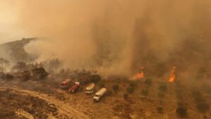صور جوية لاستجابة فرق الإطفاء في الدفاع المدني السوري وأفواج الإطفاء الحراجي لحرائق الغابات في جبل التركمان في ريف اللاذقية - 24 أيلول 2025 (الدفاع المدني السوري)