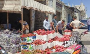 سكان بمنطقة تسيل في ريف درعا الغربي يتسوقون لتحضير مؤونة المكدوس - 2 أيلول 2025 (عنب بلدي/محجوب الحشيش)
