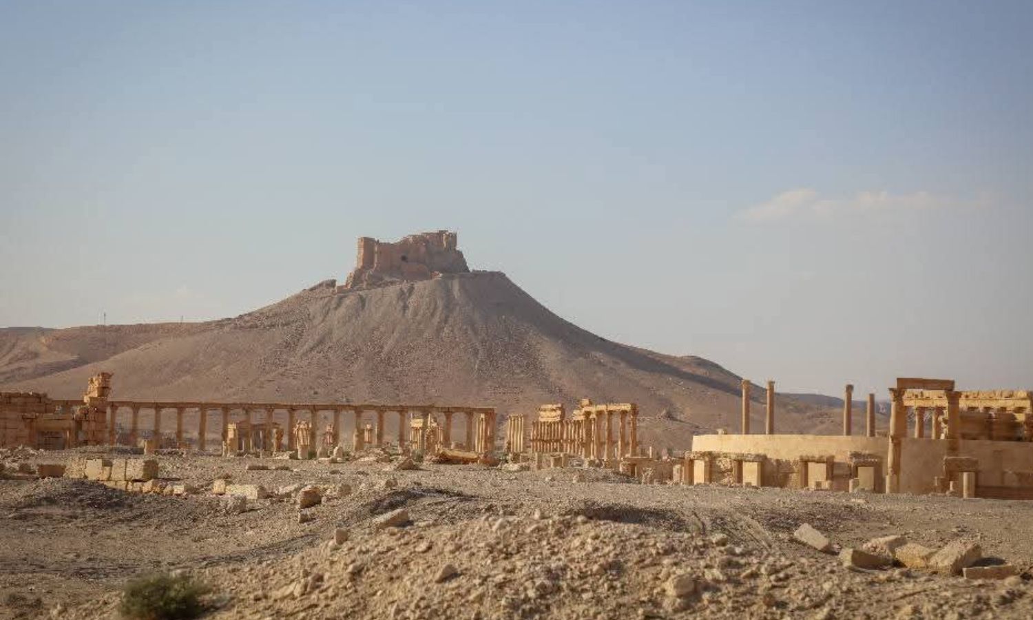 موقع تدمر الأثري - 20 أيلول 2025 (المديرية العامة للآثار والمتاحف/فيسبوك)