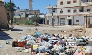 مكبات قمامة في مدينة داعل بريف درعا الغربي - 8 أيلول 2025 (عنب بلدي/ محجوب الحشيش)
