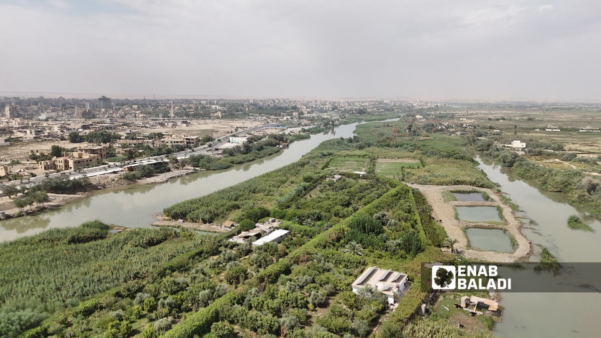 صورة جوية للجسر المعلق في دير الزور شرقي سوريا - 6 تشرين الأول 2025 (عنب بلدي/ عبادة الشيخ)