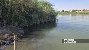 جانب من نهر الفرات بعد تلوثه بالمحروقات في بلدة الصبحة بريف دير الزور - 1 اشرين الأول 2025 (عنب بلدي)