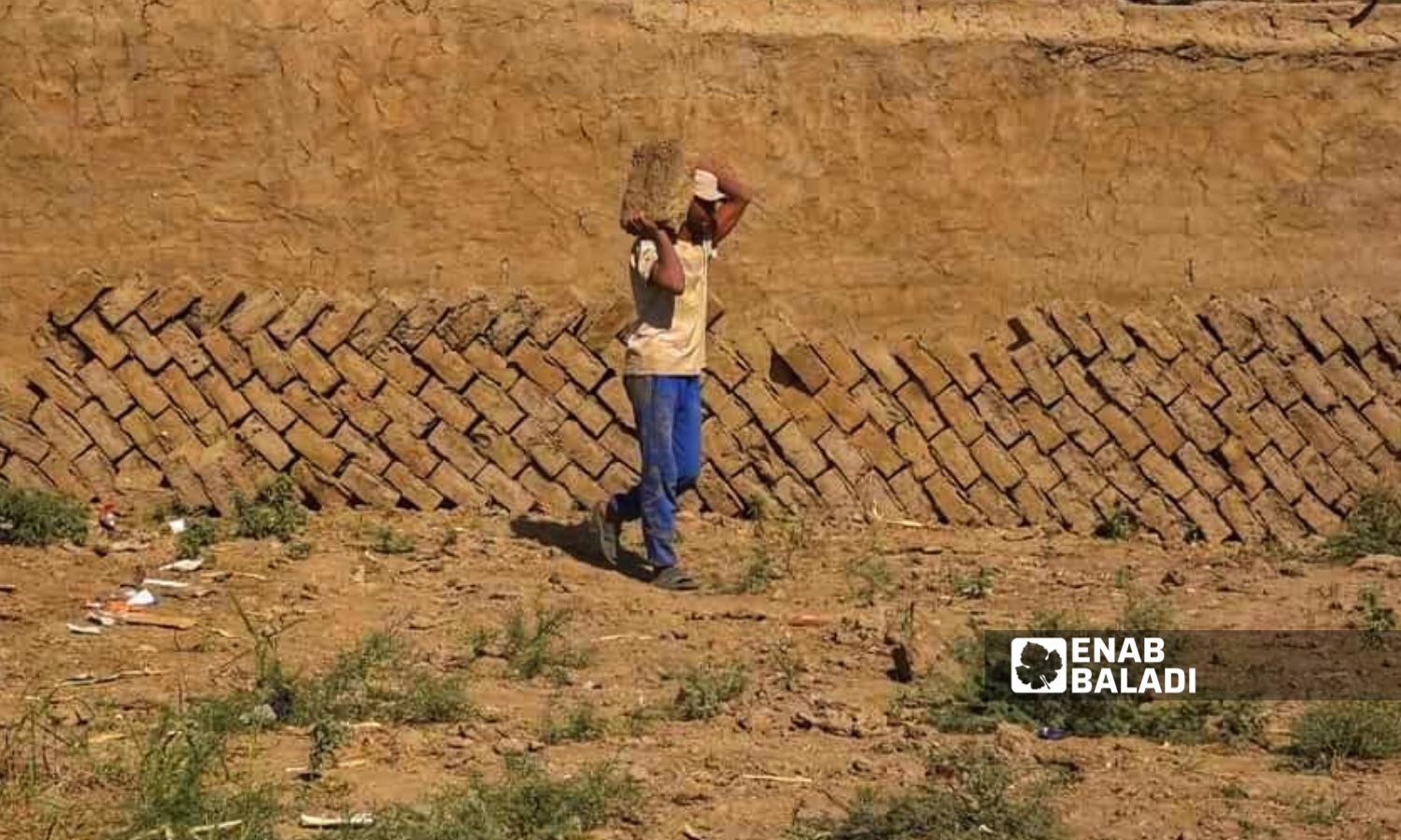 عامل ينقل قطع اللبِن للبناء في ريف دير الزور الغربي - 22 تشرين الأول 2025 (عنب بلدي)