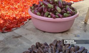 مراحل تحضير مؤونة المكدوس في منزل بداريا بريف دمشق - 19 أيلول 2025 (عنب بلدي)
