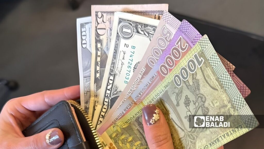 فئات من عملة سورية وأمريكية داخل حقيبة شخصية - 13 كانون الأول 2025 (عنب بلدي/مارينا مرهج)