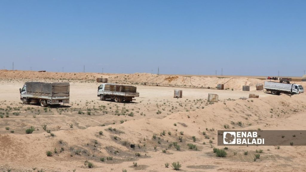 المنطقة الفاصلة بين مدينتي رأس العين وتل أبيض ومناطق قوات سوريا الديمقراطية - 2 أيار 2025 (عنب بلدي)