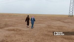 مزارعان يتجولان في أرضهما بالحسكة بعد الهطولات المطرية الأخيرة - 10 كانون الثاني 2026 (عنب بلدي)
