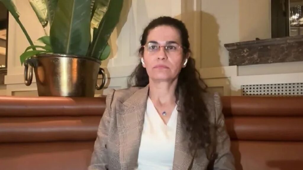 الرئيسة المشتركة لدائرة العلاقات الخارجية في الإدارة الذاتية لشمال وشرق سوريا ـ 16 شباط 2026(الجزيرة)