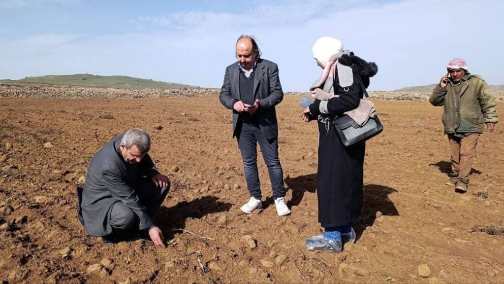 تأثر الغطاء النباتي في القنيطرة نتيجة المواد المجهولة التي قام برشها الجيش الإسرائيلي على المنطقة ـ 8 شباط 2026(مركز القنيطرة للإعلام)