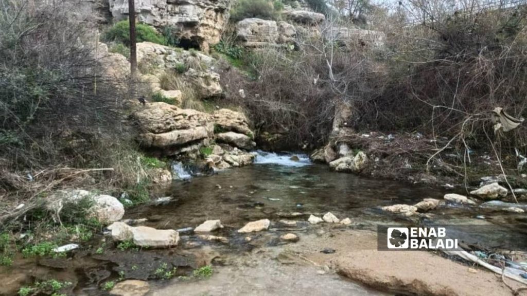 عودة الجريان إلى نهر رأس النبع بمدينة بانياس التابعة لمحافظة طرطوس بعد جفافه الموسم الماضي - 1 شباط 2026 (عنب بلدي/شعبان شاميه)