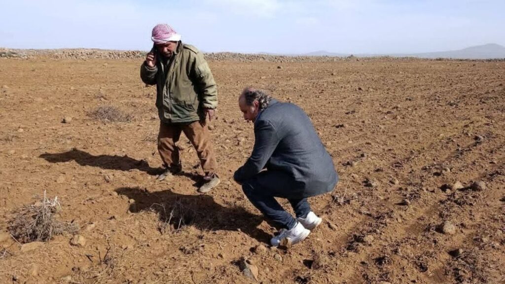 اصفرار الأعشاب في القنيطرة نتيجة استهدافها بمواد سامة من قبل الطيران الإسرائيلي ـ 8 شباط 2026 (مديرية إعلام القنيطرة)