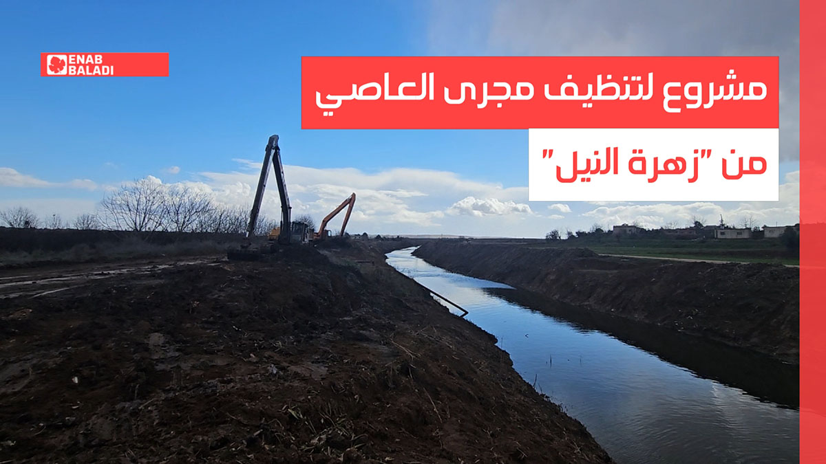 ريف حماة.. مشروع لتنظيف مجرى العاصي من "زهرة النيل"