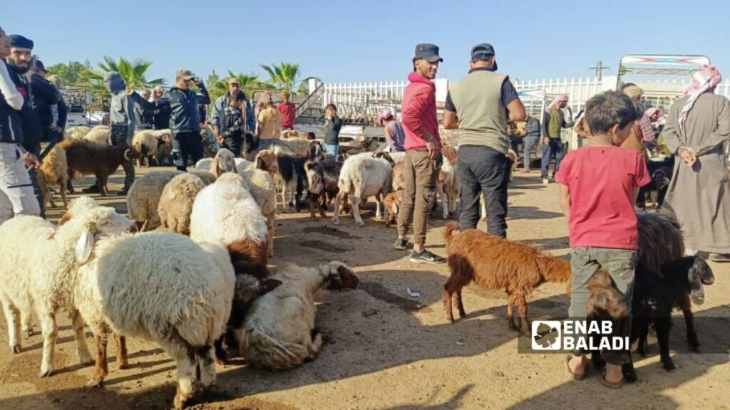 سوق المواشي في بلدة المزيريب بريف درعا الغربي - 31 أيار 2025 (عنب بلدي/ محجوب الحشيش)