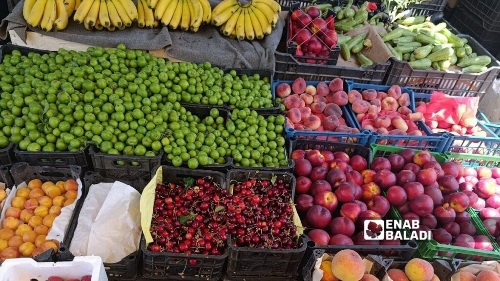 أصناف الفواكه الصيفية في إحدى المحال بدمشق - 31 أيار 2026 (عنب بلدي)