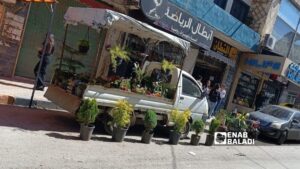 مشروع صغير لبيع نباتات الزينة في أحد شوارع السويداء -  2 حزيران 2026 (عنب بلدي)
