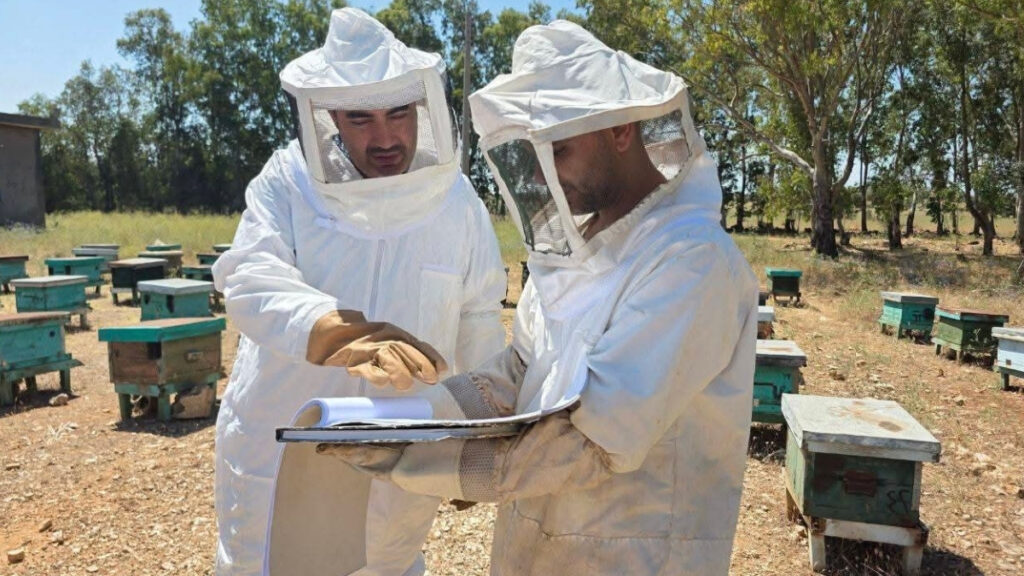 زراعة طرطوس تتفقد مركز "الثورة" لإنتاج طرود النحل لمتابعة الخطة الإنتاجية ودعم المربين - 24 حزيران 2026 (مديرية الزراعة في طرطوس/فيسبوك)