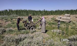 مزارعون في محافظة الرقة يجهزون محرك ديزل لري محصولهم - 27 تموز 2026 (عنب بلدي/ أحمد الحمدي)
