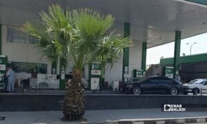 مركبات تنتظر تعبئة مادة البنزين في إحدى محطات الوقود بدمشق - 14 آب 2026 (عنب بلدي/ أمير حقوق)