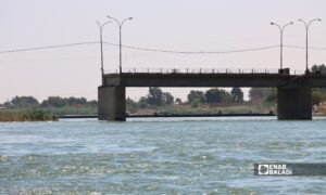 منسوب نهر الفرات يشهد ارتفاعًا تدريجيًا في ريف دير الزور بالتزامن مع زيادة تدفقات المياه من سد كديران - 27 آب 2026 (عنب بلدي/ جاسم العبد الله)