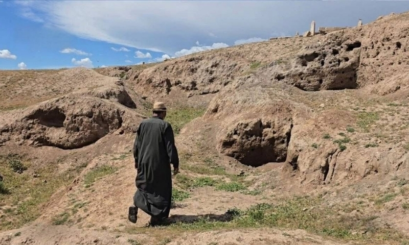 لا يمثل تل "حلف" مجرد موقع أثري في ريف الحسكة بل يعد أحد المواقع التي أسهمت في تعريف العالم بتاريخ الجزيرة السورية - 17 أيار 2026 (مركز إعلام الحسكة)