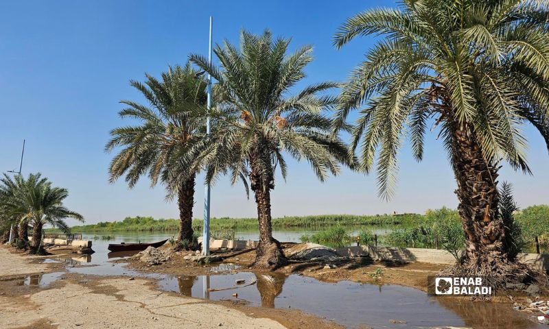 غمر الجسر الترابي في محافظة دير الزور بسبب ارتفاع منسوب مياه نهر الفرات - 27 أيلول 2026 (عنب بلدي/جاسم العبد الله)