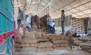 تسلم القمح في صوامع الحسكة - 29 حزيران 2026 (عنب بلدي)