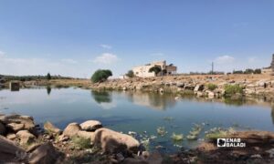 فيضان الصرف الصحي في وادي الزيدي في قرية أم المياذن بمحافظة درعا - 28 أيلول 2026 (عنب بلدي/ محجوب الحشيش)
