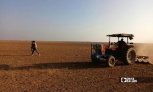 مزارعون يبدؤون فلاحة أراضيهم مع بدء  الموسم بريف حماة الشرقي - 27 أيلول 2026 (عنب بلدي/عدي الحاج حسين)
