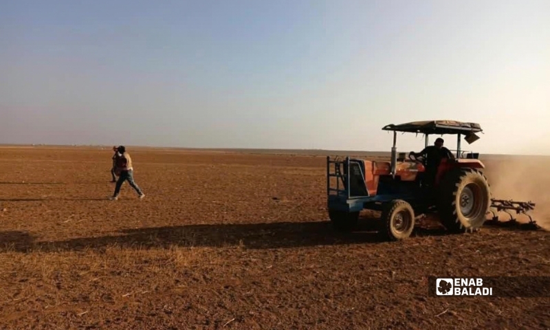 مزارعون يبدؤون فلاحة أراضيهم مع بدء الموسم بريف حماة الشرقي - 27 أيلول 2026 (عنب بلدي/عدي الحاج حسين)