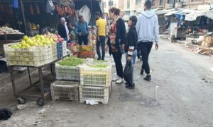 زيتون معروض على بسطة لبيع الخضار في مدينة السويداء مع بداية موسم قطاف الزيتون الحالي -30 أيلول 2026 (عنب بلدي)
