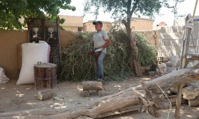 رجل في الحسكة يستخدم منشارًا كهربائيًا لتقطيع أخشاب استعدادا للشتاء – 1 تشرين الأول 2026 (هاوار)