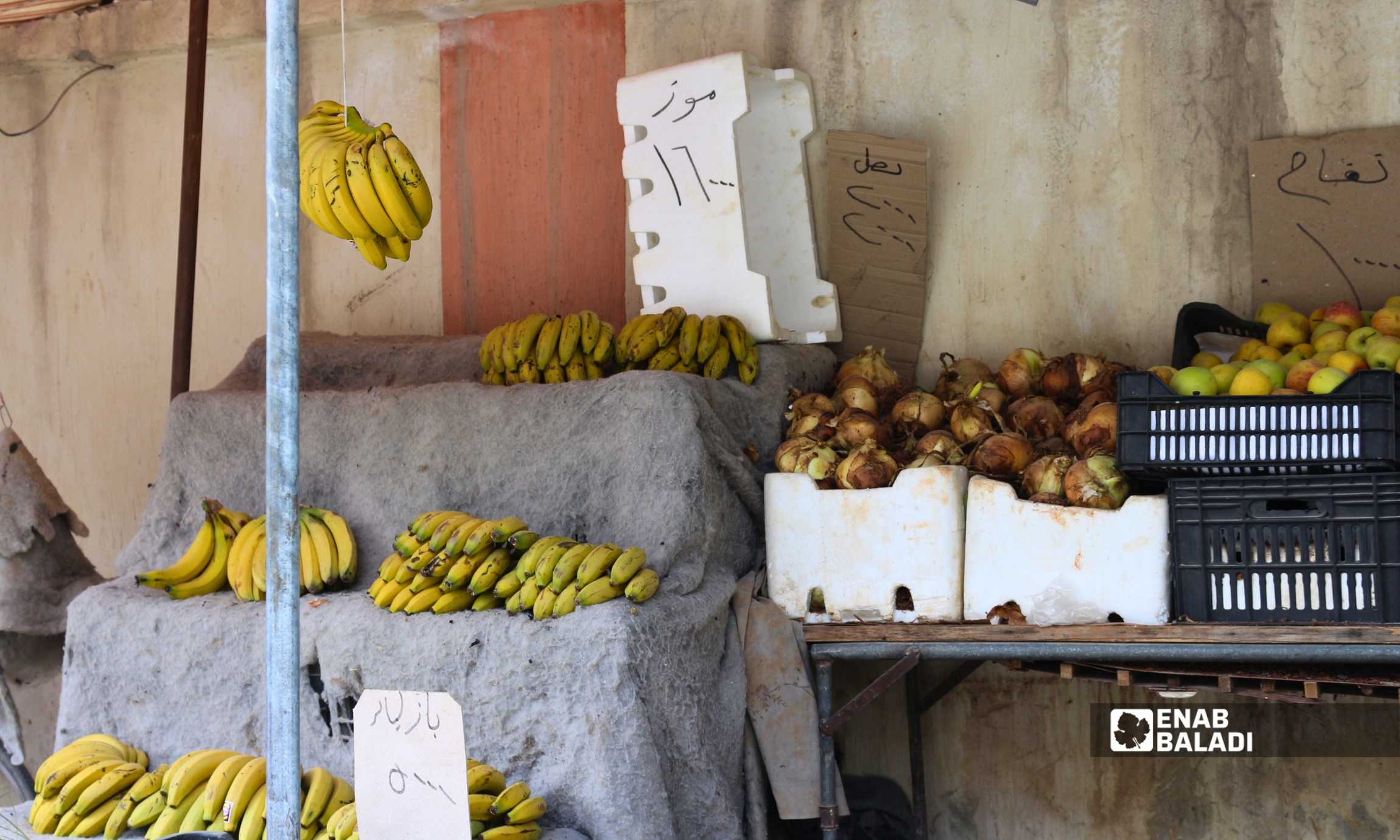 خضار وفاكهة معروضة في أحد محال داريا