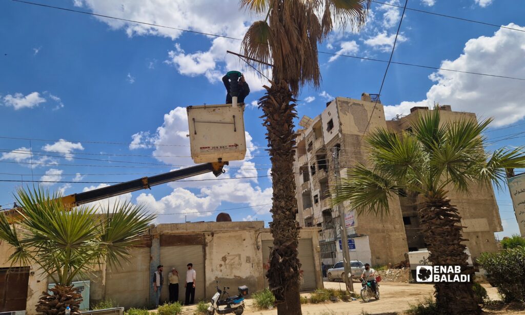تركيب مصيدة لسوسة النخيل في أحد شوارع مدينة داريا 