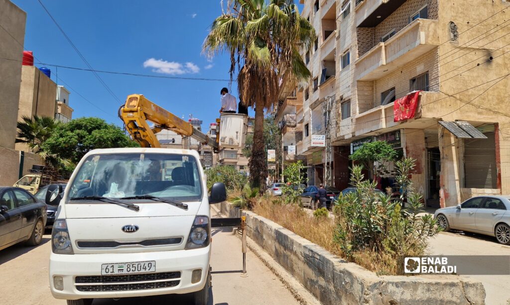تركيب مصيدة لسوسة النخيل في أحد شوارع مدينة داريا 
