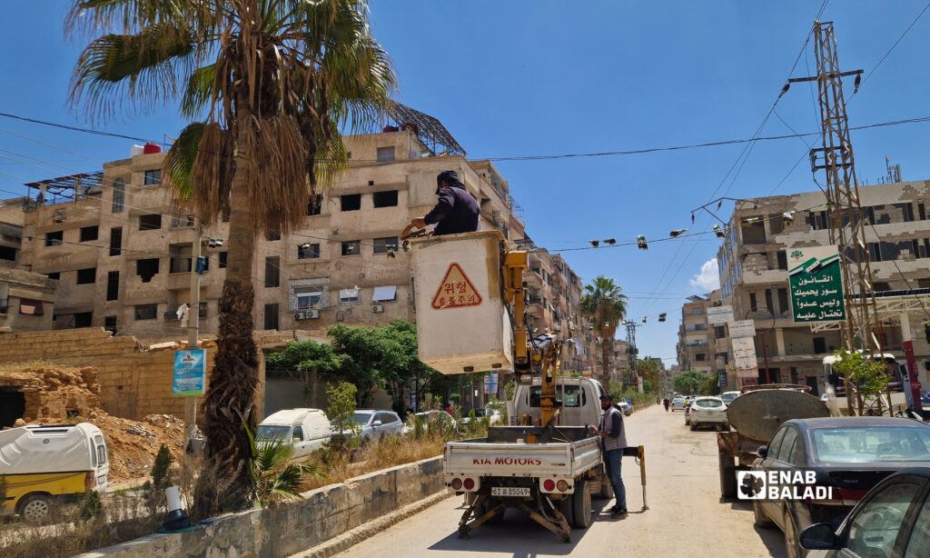 تركيب مصيدة لسوسة النخيل في أحد شوارع مدينة داريا 