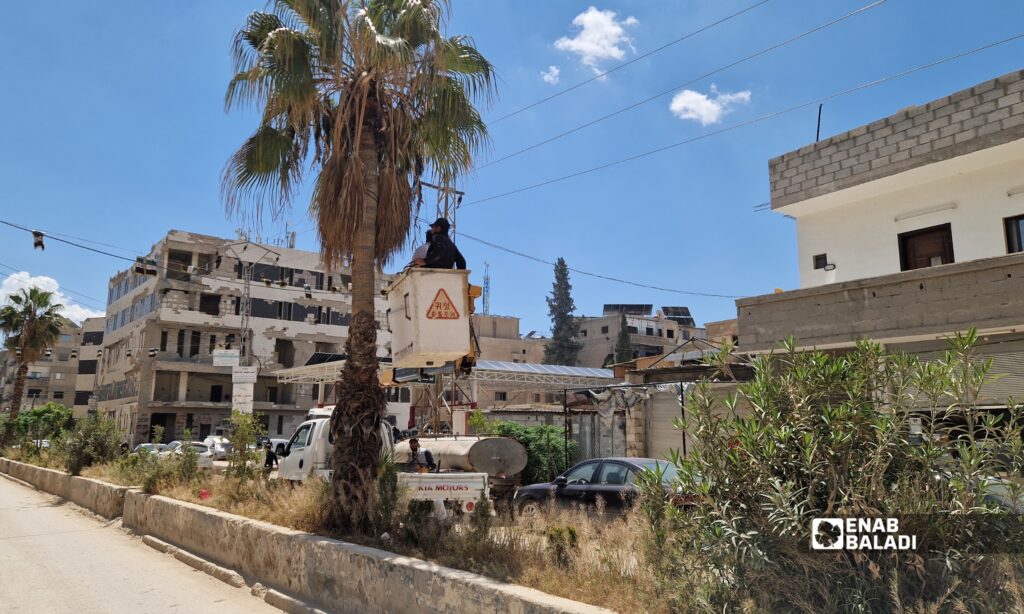 تركيب مصيدة لسوسة النخيل في أحد شوارع مدينة داريا 
