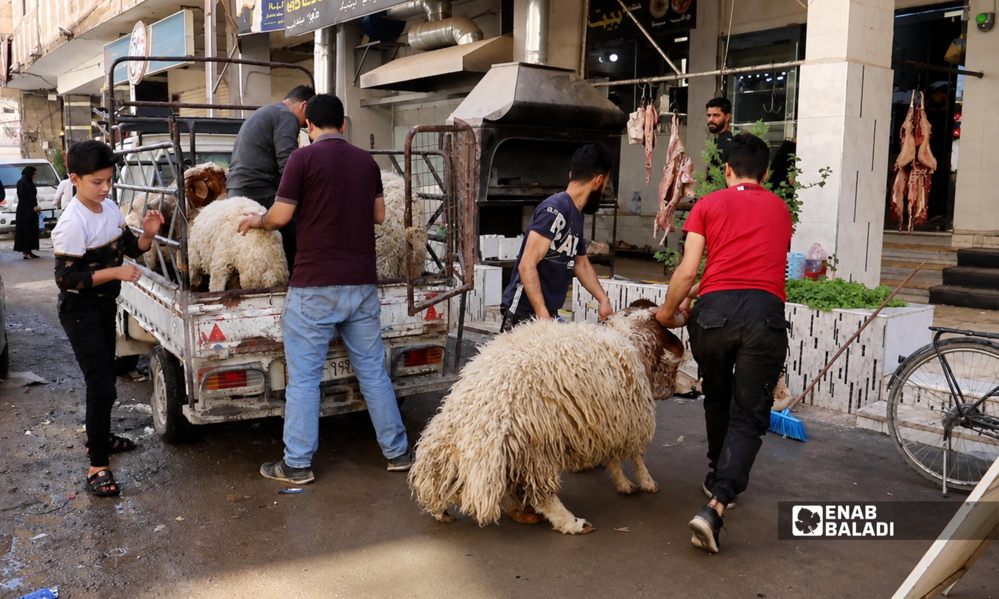 أضاحي العيد في داريا.. طقس مستمر رغم الغلاء 8 تنشط حركة اللحامين في داريا في أول أيام عيد الأضحى من كل عام - 27 أيار 2026 (عنب بلدي)
