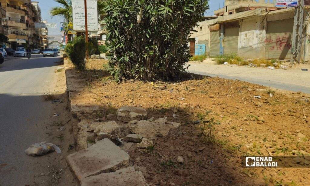 عمال ينفذون أعمال تجهيز وتنسيق المنصف تمهيدًا لتشجيره في أحد شوارع مدينة داريا 