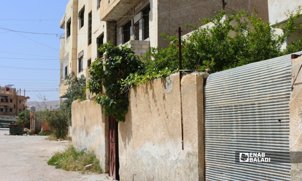 أحواض نباتات تزين مدخل أحد المنازل في داريا 