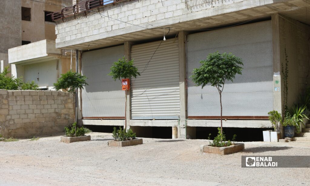 أحواض نباتات تزين مدخل أحد المنازل في داريا