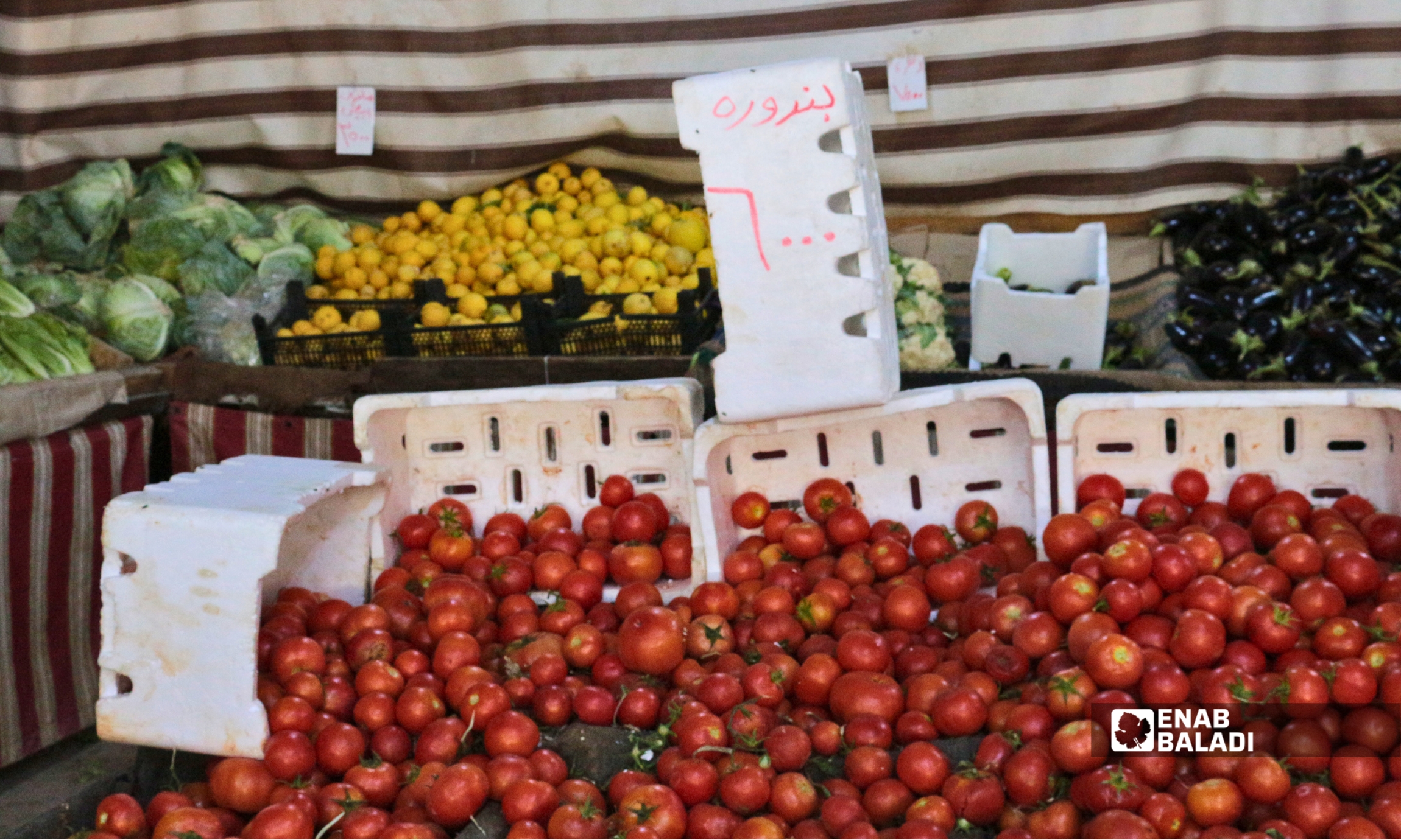 خضار وفواكه معروضة في أحد أسواق داريا