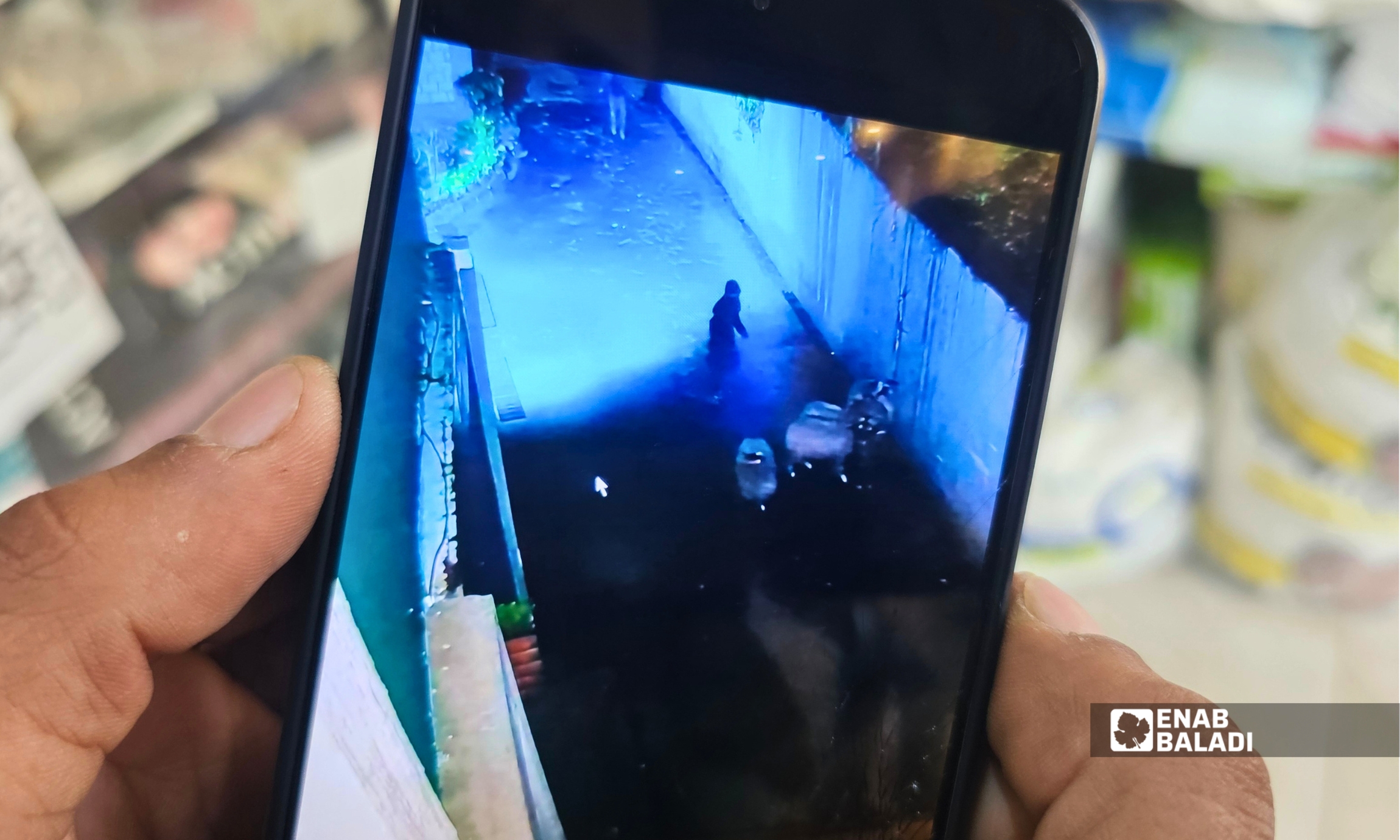 مقطع من تسجيل كاميرا مراقبة يوثق سرقة أغنام من إحدى مزارع منطقة شواقة