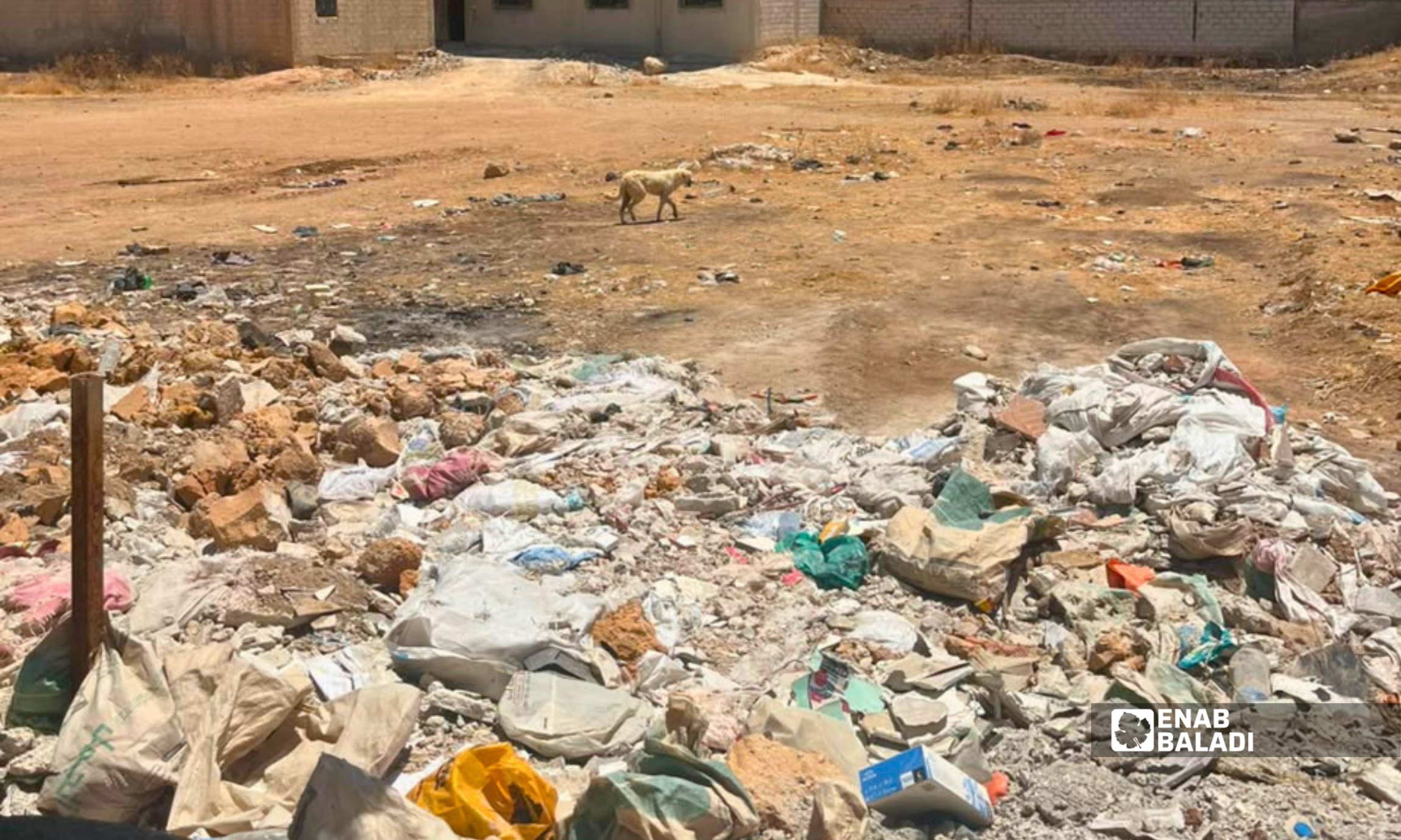 نفايات متراكمة في أحد أحياء داريا تظهر فيها كلاب شاردة