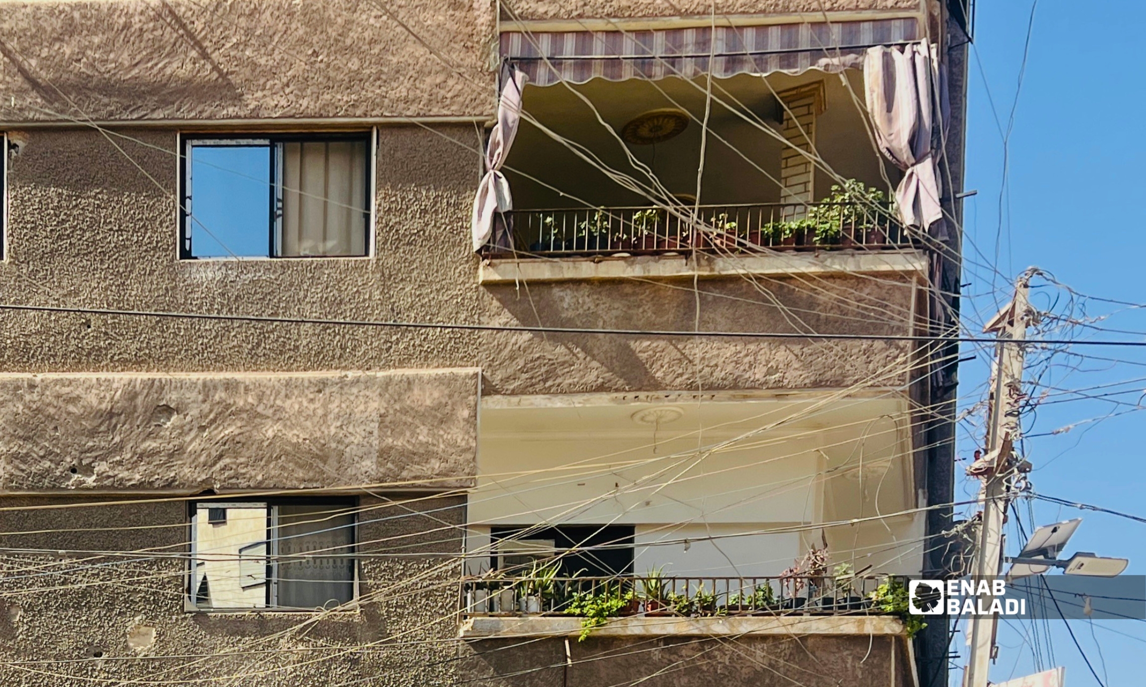 أصص ونباتات زينة على شرفة منزل في مدينة داريا