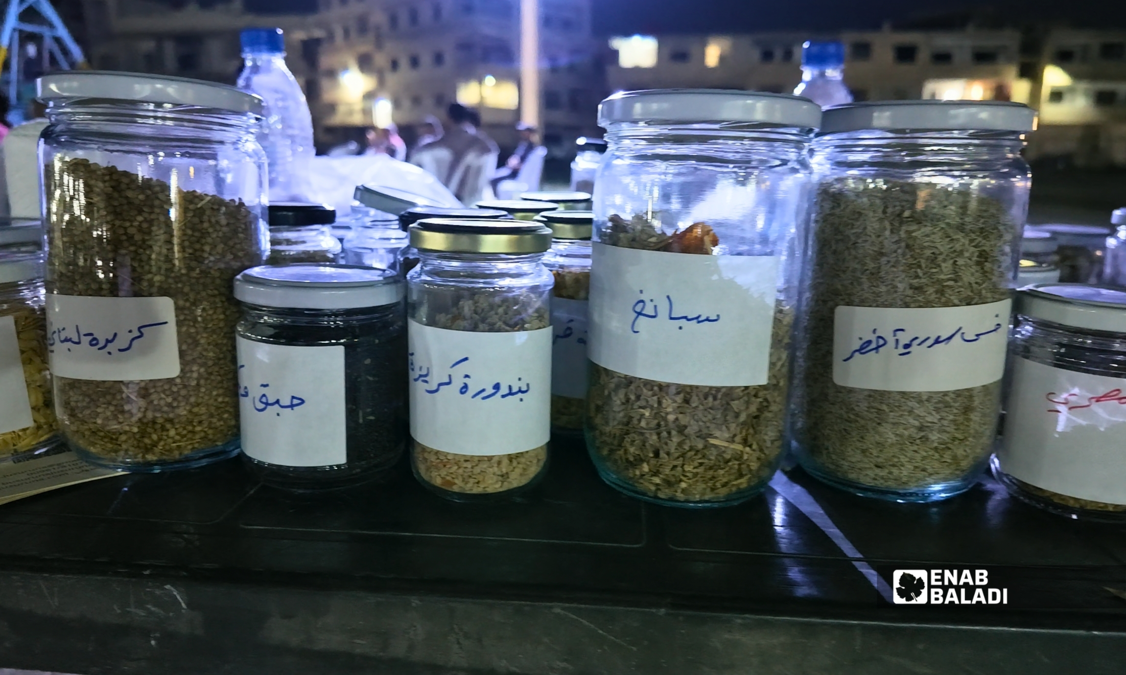 بذور بلدية في ورشة «بذورنا جذورنا» في داريا