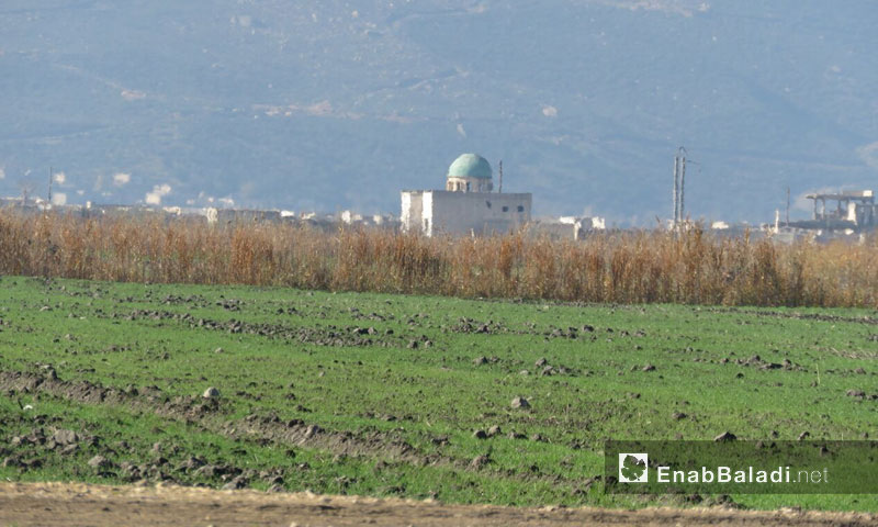 Agricultural lands in Qabr Fidda in the al-Ghab Plain (Enab Baladi)