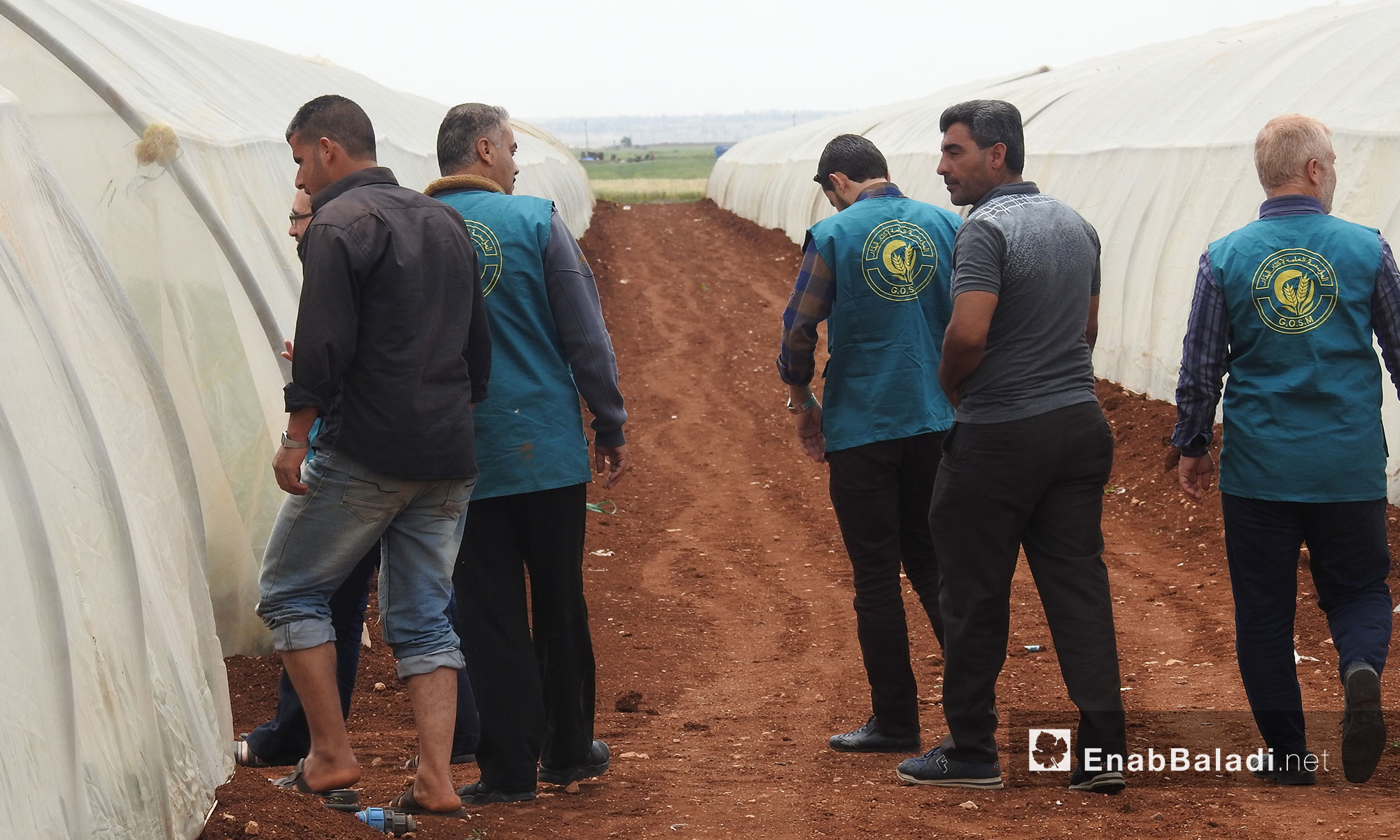 A project by the General Organization for Seed Multiplication in the northern countryside of Aleppo – May 18, 2018 (Enab Baladi)