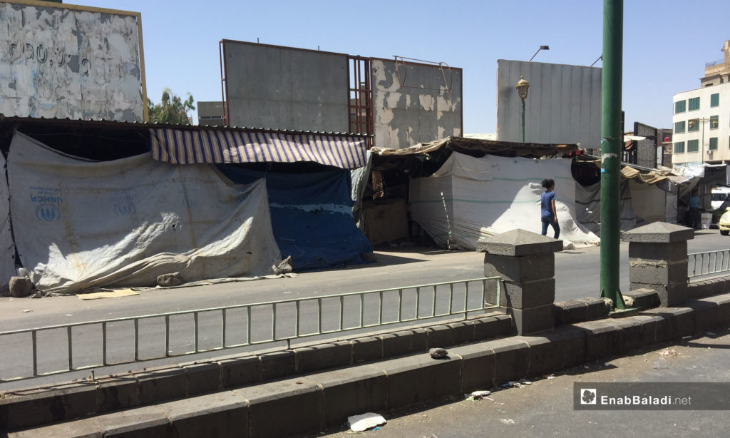 The vegetable market in Sweida city – July 26, 2018 (Enab Baladi)