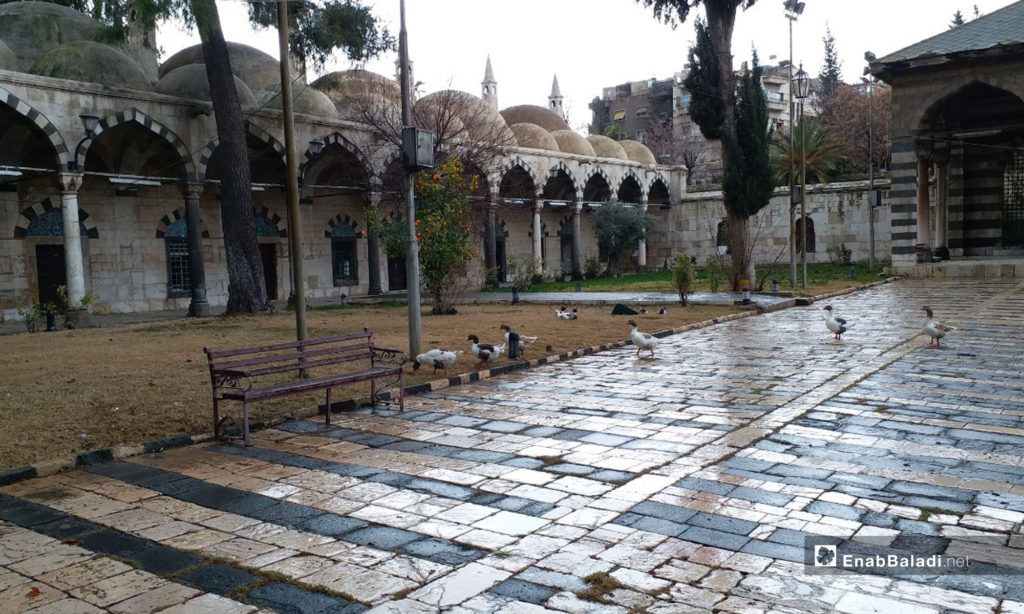 The yard of the National Museum, Damascus - January 12, 2019 (Enab Baladi)