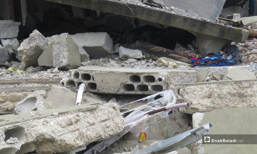 Scenes of destruction in the village of al-Sharia in al-Ghab Plain, rural Hama – March 31, 2010 (Enab Baladi)